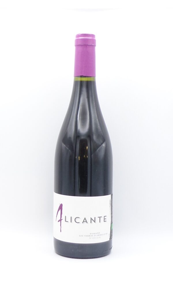 alicante domaine les terres d'armelle