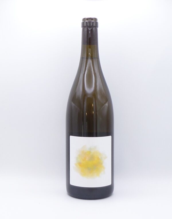 bouquet blanc quitrie camdeborde