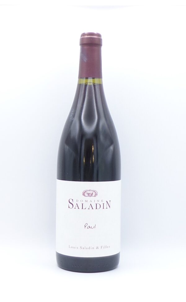 paul domaine saladin